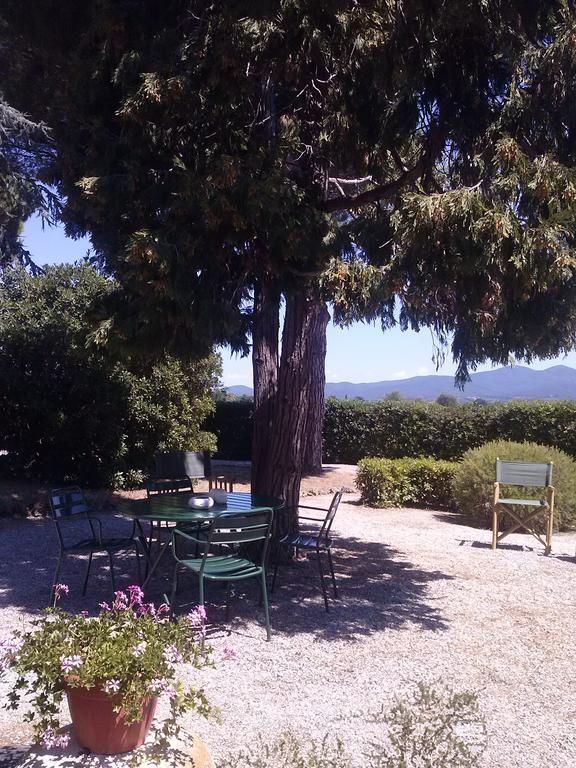Campo Al Cerro Apartment Bolgheri Luaran gambar