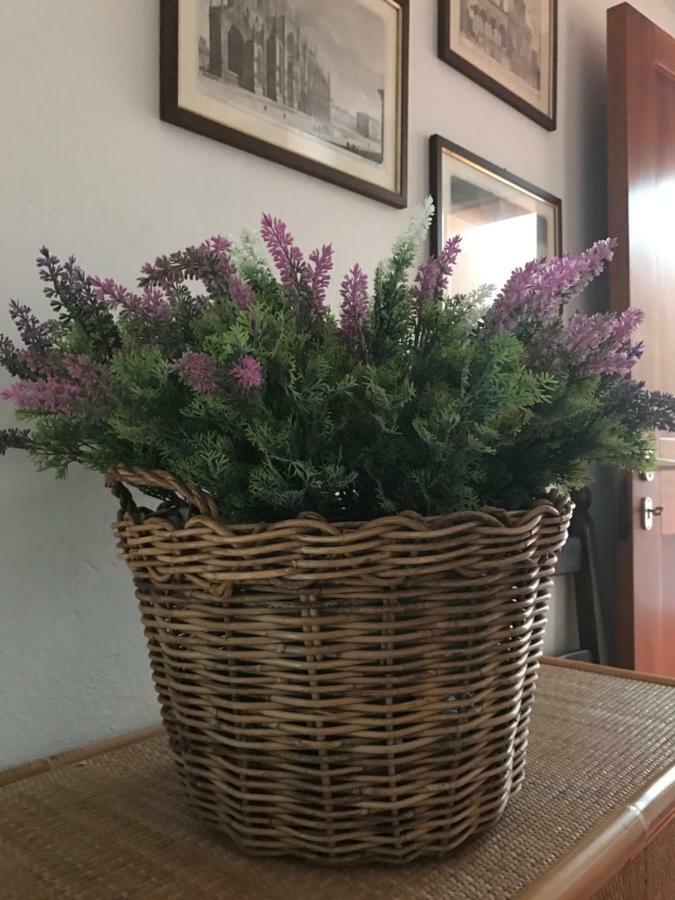 Campo Al Cerro Apartment Bolgheri Luaran gambar