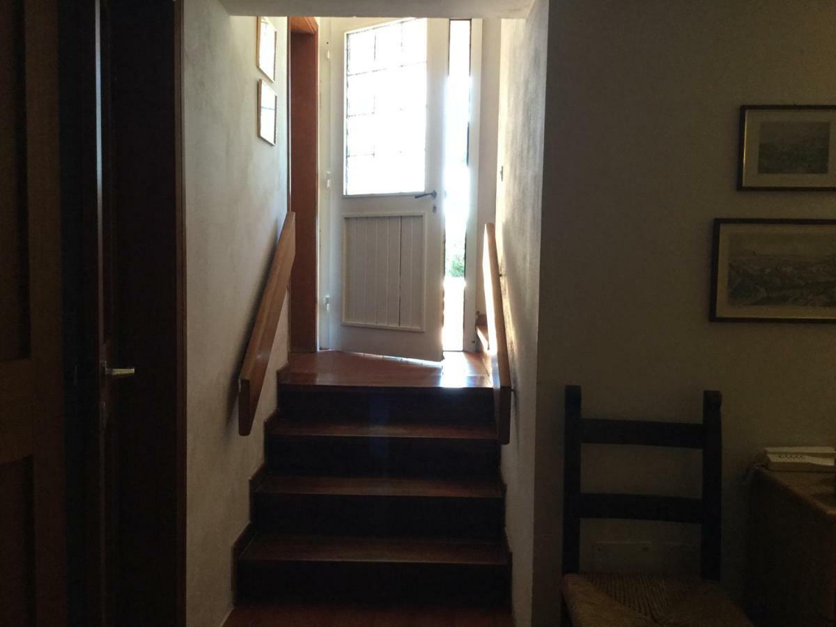 Campo Al Cerro Apartment Bolgheri Luaran gambar