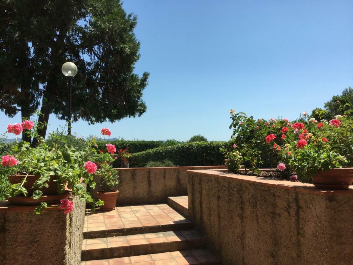 Campo Al Cerro Apartment Bolgheri Luaran gambar